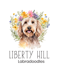 sonnenfeld_shepherds_logo